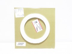 16087880017 GARDNER DENVER