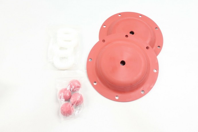 476.194.354 WARREN RUPP