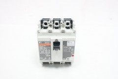 BW100EAGU-3P100 FUJI